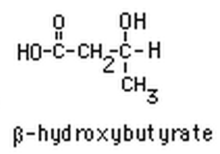 Beta-hydroxybutyrat