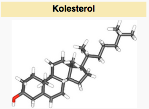Kolesterol wiki