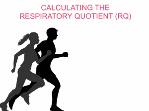 Respiratory Quotient - video