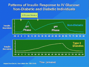 Insulin response healthy vs. diabetic